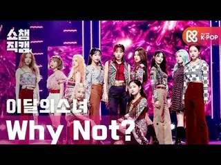 【公式mbm】【SHOW CHAMPION__]今月の少女_  - ワイ鎌？ (LOONA_  -  Why Not？)l #SHOW CHAMPION_ U-