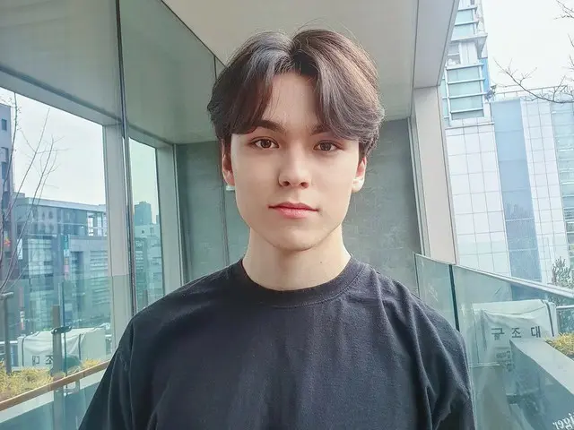 【JT公式】SEVENTEEN、RT pledis_17：[17'Sバーノン] CARATありがとうございます