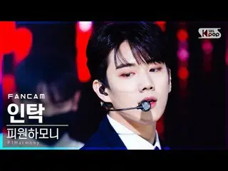 【公式sb1】【テレビ1列_]P1Harmony_ インタク「SIREN」(P1Harmony_ _ INTAK FanCam)│@ SBS 人気歌謡_2020
