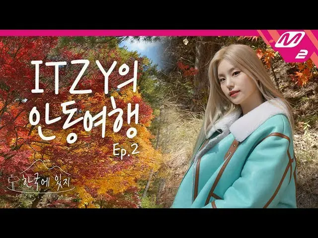 【t公式】ITZY、[ #韓国のITZY] ITZYのお互いの本音大公開！安東での幸せいっぱいのピクニック🎁 #ITZY #ITZY ITZYofficial