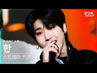 【公式sb1】【テレビ1列_] StrayKids_ した「ALL IN」(StrayKids_ _ HAN FanCam)│@ SBS 人気歌謡_2020.1