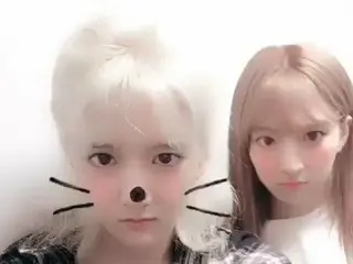 宇宙少女、SNS更新