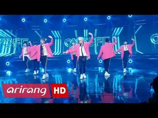 日本人メンバーも