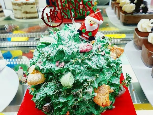 歌手ソルビが作ったクリスマスケーキが「斬新すぎる」と話題に