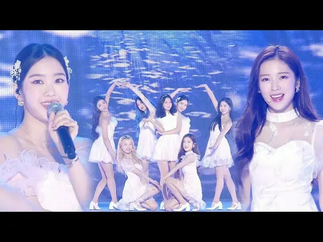 【公式sbe】 OHMYGIRL_ 、吹雪起こした目の女神「Dolphin」ㅣ2020 SBS歌謡大祭典in DAEGU(sbs 2020 K-Pop Awar