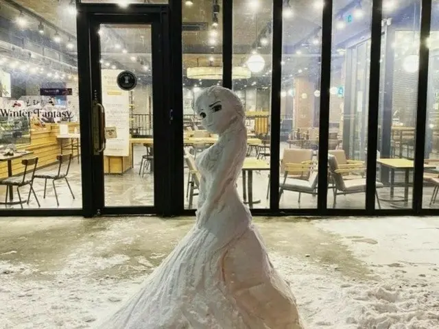 韓国に大雪、「アナと雪の女王」エルサの虐待事件が話題