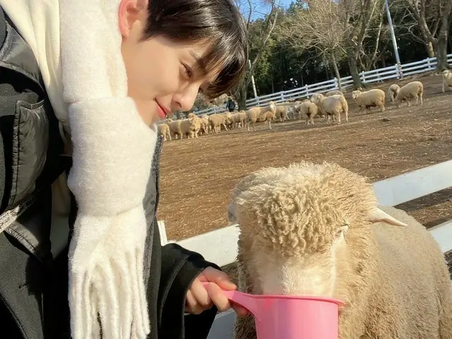 【T公式】ASTRO、最後までファイティング!!!!!👍👍👍🐑🐑🐑
