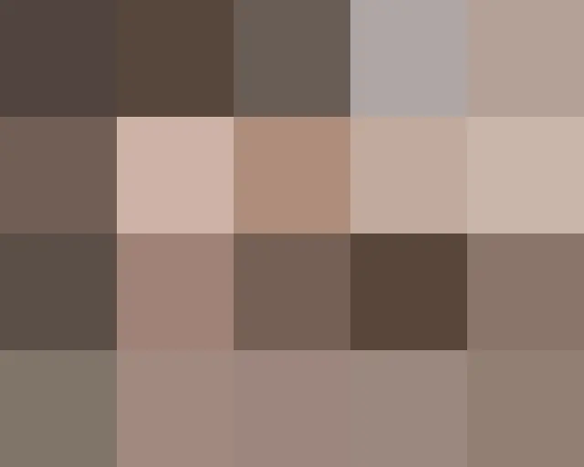 スジ、画報公開