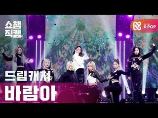 【公式mbm】【SHOW CHAMPION__] DREAMCATCHER  - 風よ(DREAMCATCHER  -  Wind Blows)l #SHOW 
