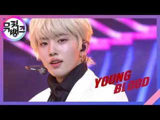 【公式kbk】Young Blood  - DRIPPIN_ (DRIPPIN_ _ )[MUSICBANK_ / Music Bank] | KBS 2103