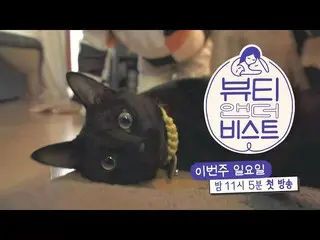 【公式sbe】 [1回予告編】ペットとの素敵な日常童話♥ㅣビューティー・アンド・ザBEAST_ (beast)ㅣSBS ENTER