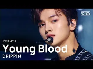 【公式sb1】DRIPPIN_ _ (DRIPPIN_ ) -  Young Blood人気歌謡_ inkigayo 20210321  