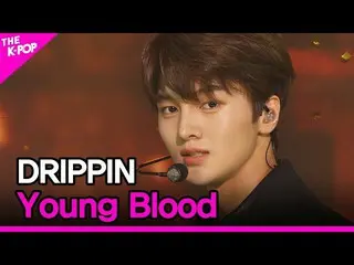 【公式sbp】 DRIPPIN_ _ 、Young Blood(DRIPPIN_ 、Young Blood)[THESHOW_ _ 210323]  