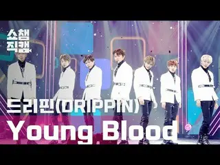 【公式mbm】【SHOW CHAMPION__]DRIPPIN_ (DRIPPIN_ _ ) - ヤングブラッド(DRIPPIN_ _  -  Young Bl