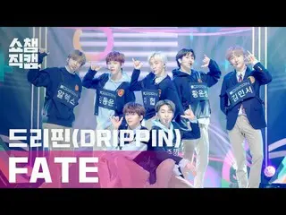【公式mbm】【SHOW CHAMPION__]DRIPPIN_ (DRIPPIN_ _ ) - フェイト(DRIPPIN_ _  -  FATE)l EP.3