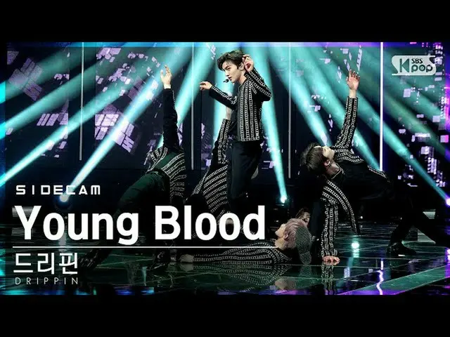 【公式sb1】【サイドカム4K]DRIPPIN_ 「Young Blood」(DRIPPIN_ _ Side FanCam)| SBS 人気歌謡_2021.03