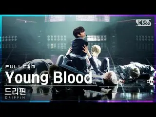 【公式sb1】【テレビ1列_]DRIPPIN_ 「Young Blood」フルカム(DRIPPIN_ _ Full Cam)│@ SBS 人気歌謡_2021.0
