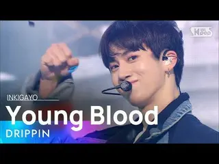 【公式sb1】DRIPPIN_ _ (DRIPPIN_ ) -  Young Blood人気歌謡_ inkigayo 20210328  