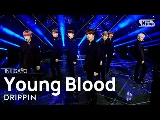 【公式sb1】DRIPPIN_ _ (DRIPPIN_ ) -  Young Blood人気歌謡_ inkigayo 20210404  