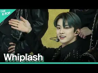 【公式sbp】 [縦直カム] THEBOYZ_ (THEBOYZ_ _ ) -  WhiplashキューFOCUS | KOREA-UAE K-POP FEST
