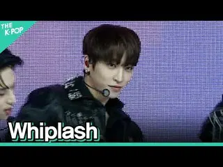 【公式sbp】 [縦直カム] THEBOYZ_ (THEBOYZ_ _ ) -  Whiplash上演FOCUS | KOREA-UAE K-POP FESTI