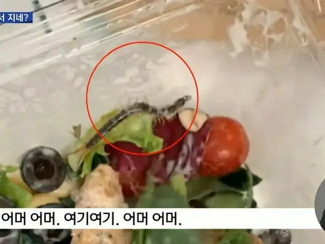 韓国スタバのサラダに生きたムカデ混入か