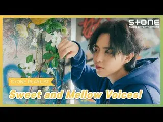 【公式cjm】 [Stone Music PLAYLIST]甘い鼓膜彼氏に召喚！|キム・ジェファン_ 、SHY(ソン・ホヨン)、テミン(TAEMIN)、コ・ユジ
