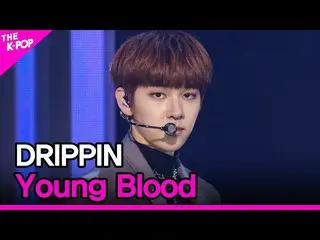 【公式sbp】 DRIPPIN_ _ 、Young Blood(DRIPPIN_ 、Young Blood)[THESHOW_ _ 210413]  