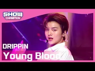 【公式mbm】【Show Champion】DRIPPIN_  - ヤングブラッド(DRIPPIN_ _  -  Young Blood)l EP.390  