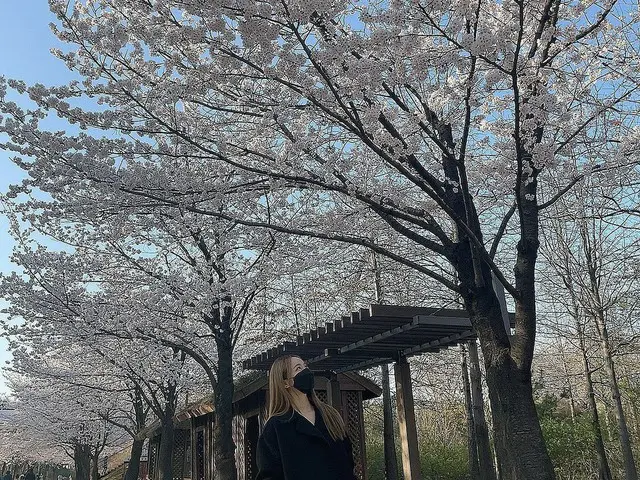 【t公式】今月の少女(Loona)、[ #ViVi】写真にある追加かないきれいな桜を見るたびに幸せが感じられ🌸Orbitも見に行った！？💕#今月の少女(LO
