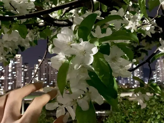 【t公式】今月の少女(Loona)、[#JinSoul]最近フィルムカメラで写真練習してみようと思っているんd根菅難しいですね。