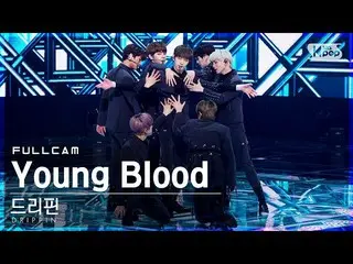 【公式sb1】【テレビ1列_]DRIPPIN_ 「Young Blood」フルカム(DRIPPIN_ _ Full Cam)│@ SBS 人気歌謡_2021.0
