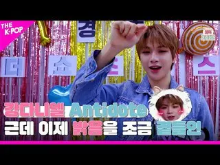 【公式sbp】 [祝うライブ4K]カン・ダニエル_ Antidoteところで今明るさを少し添え  