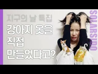 【t公式】MAMAMOO、[ #ソーラー]私の服に犬の服作り着せたら反応が？！(笑) 🔗 #MAMAMOO #Solar #ソーラー試み  