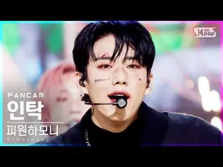 【公式sb1】【テレビ1列_]P1Harmony_ インタク「怖いなんて」(P1Harmony_ _ INTAK「Scared」FanCam)│@ SBS 人気