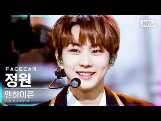 【公式sb1】【フェイスカム4K]ENHYPEN_ 庭園」Drunk-Dazed」(ENHYPEN_ _ JUNGWON FaceCam)│@ SBS 人気歌謡