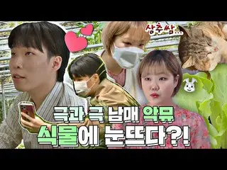 【公式jte】 [アクミュ(AKMU_ _ )スペシャル]「財テク」vs「パテック」極と極兄妹チャンヒョク - スヒョンのプランテリア＆ホームガーデニングスペシ