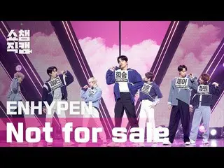 【公式mbm】【SHOW CHAMPION__]ENHYPEN_ (ENHYPEN_ _ ) - 鎌フォーセール(ENHYPEN_ _  -  Not For 