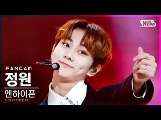 【公式sb1】【テレビ1列_]ENHYPEN_ 庭園」Drunk-Dazed」(ENHYPEN_ _ JUNGWON FanCam)│@ SBS 人気歌謡_20