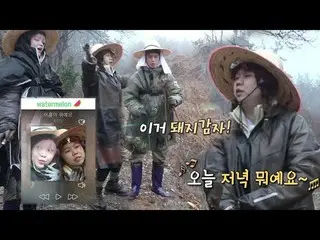 【公式sbe】 スンヒ×ホンヒョンフイ、パク・ギウン_ が発見した菊芋にテンションアップ↗ㅣジャングルの法則(Jungle)ㅣSBS ENTER