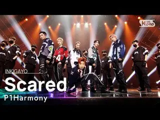 【公式sb1】P1Harmony_ _ (P1Harmony_ ) -  Scared(怖いなんて)人気歌謡_ inkigayo 20210516  