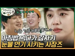【公式ons】 日アルバチョ・ボアの最後の任務は涙の演技？！ご飯食べずにいきなりウルロ行く涙妖精チョ・ボア_ |  #百万ビューpick #どうして社長|スタイ
