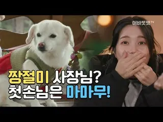 【t公式】MAMAMOO、[ #ソーラー #ムンビョル] [節ミネラル民宿]ちゃんジョルミ社長？最初のゲストはMAMAMOO！ (予告)Iアバウトペット🔗 #