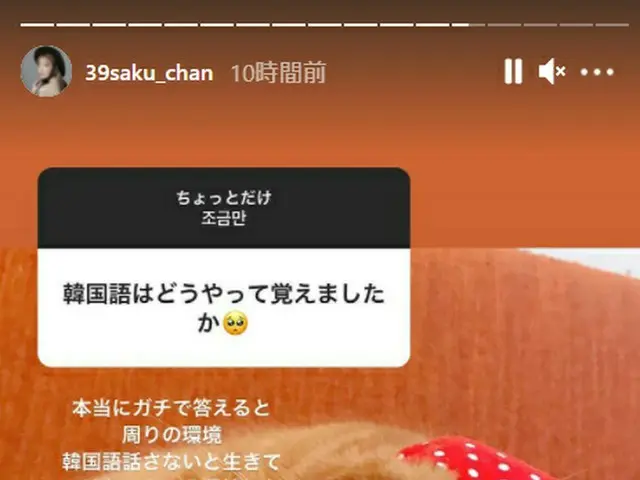 「IZ*ONE」出身の宮脇咲良、SNSでの質問の答えが話題