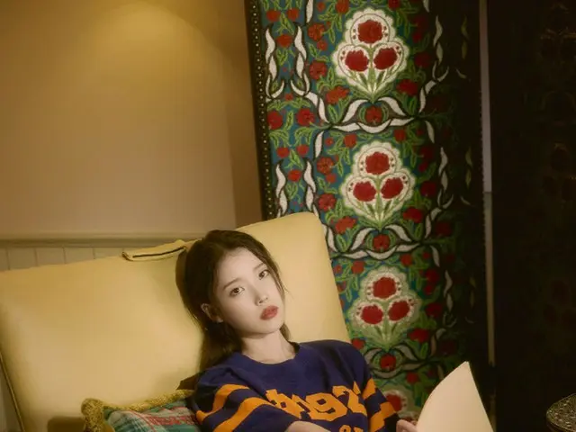 IU(アイユー)、ソウル・ 清潭洞にある最高級ビラを購入したと報じられる