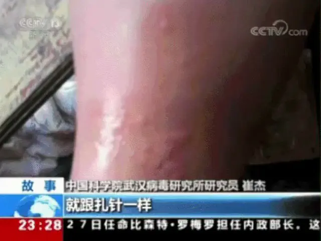 新型コロナ「起源疑惑」の中国武漢研究所、動画が韓国で話題