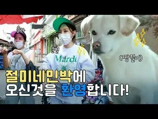 【t公式】MAMAMOO、[ #ソラ #ムンビョル] [チョルミの民宿] MAMAMOOソラ＆ムンビョルと一緒に来たチョルミの新しい友人1アバウトペット  