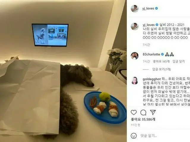 新世界グループのチョン・ヨンジン副会長、SNSに亡くなったペットの写真を掲載して「ごめん、ありがとう」とコメントし、騒動に