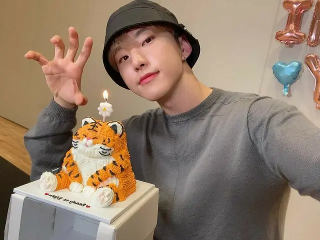 【JT公式】SEVENTEEN、RT pledis_17：[17'S星]虎し🐯🥰