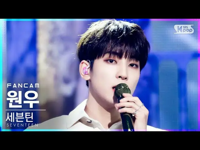 【公式sb1】【テレビ1列_]SEVENTEEN_ ウォンウ」Ready to love」(SEVENTEEN_ _ WONWOO FanCam)│@ SBS 